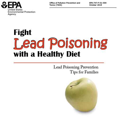 Protect Your Family From lead in Your Home - Spanish