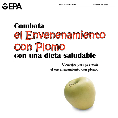 Protect Your Family From lead in Your Home - Spanish