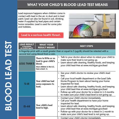 What does a blood lead test mean