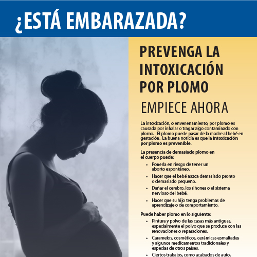 Espanol cover are you pregnant from the CDC