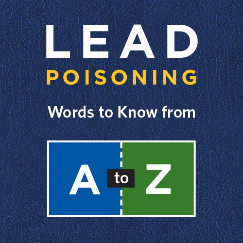 Lead Poisoning words a to z