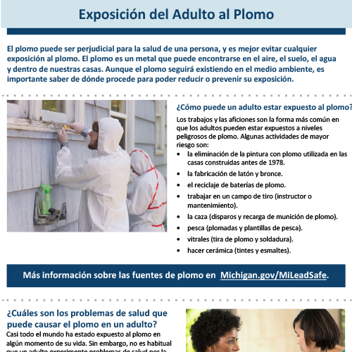 Adult exposure to lead