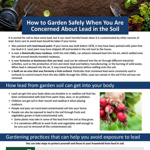 Gardening and Lead