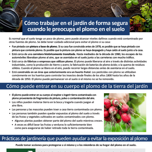 Lead and Gardening Spanish